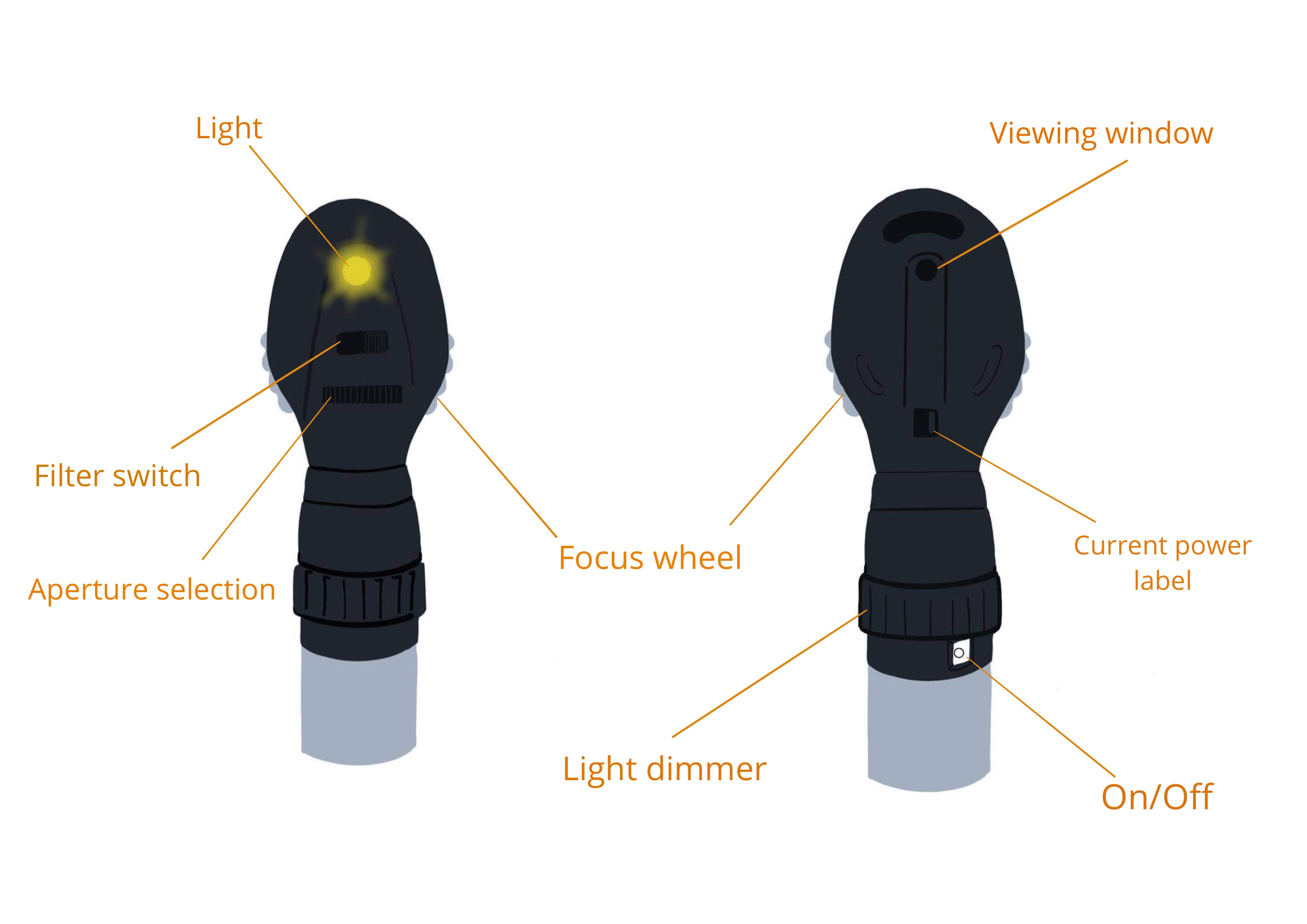 Ophthalmoscope Diagram